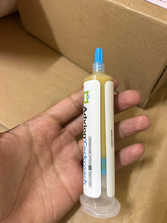 American Avion cockroach