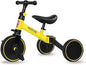 Baby Bicycle 3 in 1